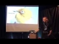 BSidesTO 2014 - Pwning all the Internet of things for fun and profit