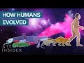 Download Lagu Incredible Animation Shows How Humans Evolved From Early Life