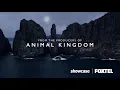 The Kettering Incident - July 4 on Foxtel