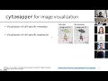 Visualization and Analysis of Highly Multiplexed Imaging Data