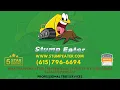 What Happens After Tree Removal The Step-by-Step Debris Cleanup Process