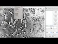Measuring Surface area of PC3 cells on different matrices using ImageJ - Fatima AlHamadi Spring2023