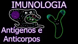 Aula: Imunologia - Antígenos e Anticorpos | Imunologia #7