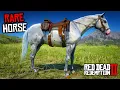 5 Rare Appaloosa Horses Location Rankings - RDR 2