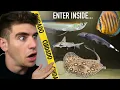 Inside Colombia s LARGEST Aquarium Store Tour