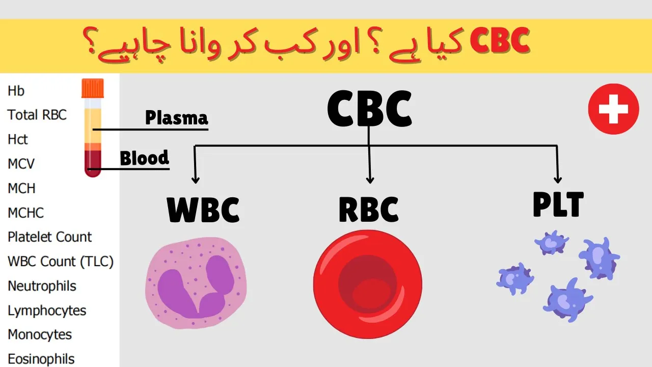 CBC report I CBC Test I CBC report kaise Padhe I Complete Blood Count