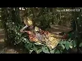Lagu shree Jagannath episode jhule jhule re jhulana song most and beautiful please see video