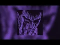xantesha - sunrise (slowed + reverb)