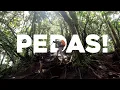 Jalur Pedas bikin Kaki Panas: Tektok Gunung Sagara via Sagara | VIRTUAL HIKING