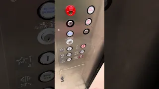 For Dieselducy Westinghouse Elevator at Macy s at The Holyoke Ingleside Mall in Holyoke MA