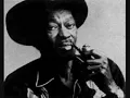 Clarence Gatemouth Brown- Louisiana Zydeco
