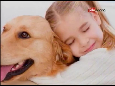 Riesgos de dormir con las mascotas
