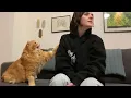 Download Lagu Call Your Cat's Name When They Are Next To You 🤣