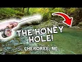 We Found The HONEY HOLE Cherokee NC Trout Fishing