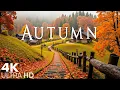 Download Lagu Music therapy 🍂 Stunning Autumn Videos with Piano Music and Birdsong to Relax Your Soul