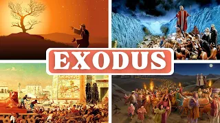 Exodus Best Dramatized Bible For Meditation NIV Listen Read-Along Bible Series