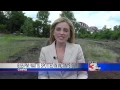 Best Spot News Cairo Bank Robbery WSIL-TV