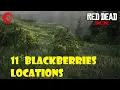 Red Dead Online RDR2 11 Blackberries Locations