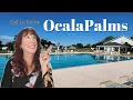 Everything you Need To Know about Ocala Palms