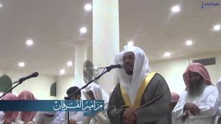 أ إ ل ه م ع الل ه دلائل و حدانية الله بأداء عراقي يفوق الوصف للشيخ ياسر الدوسري  أ إ ل ه م ع الل ه دلائل و حدانية الله بأداء عراقي يفوق الوصف للشيخ ياسر الدوسري