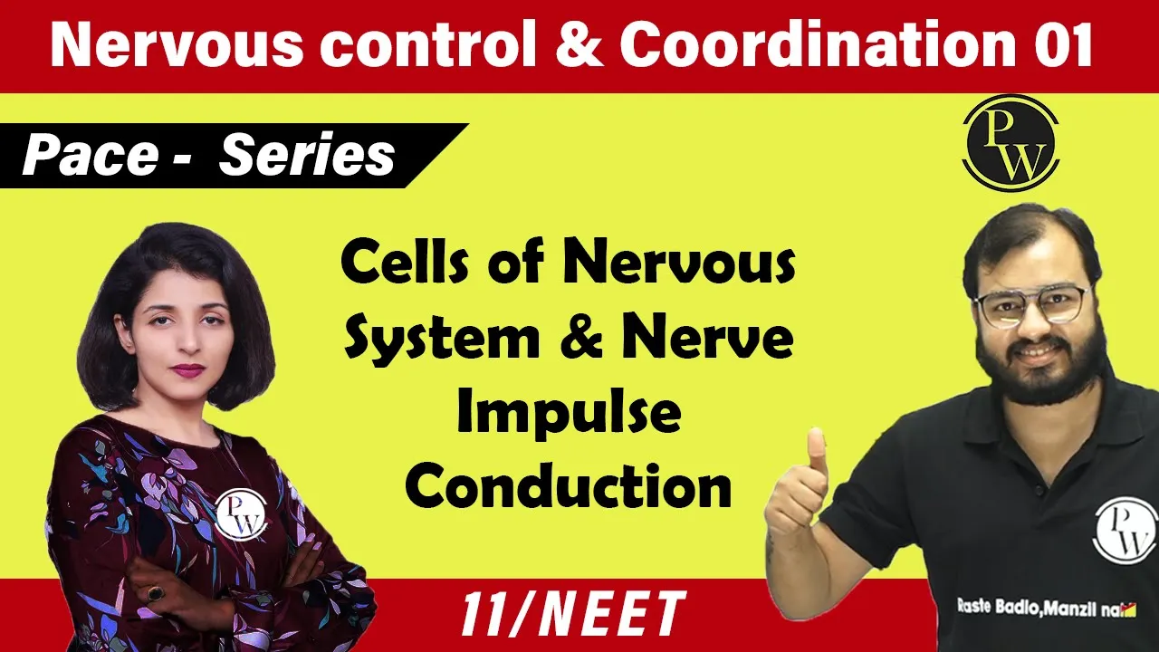 Nervous Control & Coordination 01 | Cells of Nervous System & NerveI Impulse Conduction | 11 | NEET