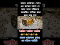 Download Lagu Hazrat Muhammad Sallallahu Salam Life History #shorts