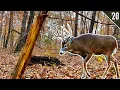 Lagu BOW HUNTING RUT FUNNELS!! - (Missouri and Iowa Public Land)