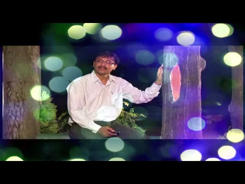 Latest Bhajan Lyrics