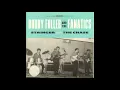 Bobby Fuller & The Fanatics - The Chase