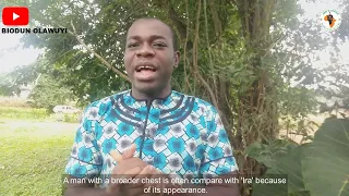 omo ajanaku k ya r an elephant doesnt beget an r a yor b proverb and its misconception 
