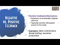 Homeostasis Notes and Practice