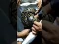 Download Lagu Reticulated Python