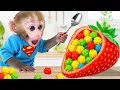 Download Lagu Monyet Bon Bon Imut menyelamatkan para bebek di peternakan dan gembira dengan tongkat sihir