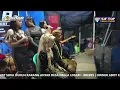 Lagu SAWER PANGANTEN - ALL ARTIS | Organ Tarling ASOKA LIVE NEGLA LOSARI 14 JUNI 2025