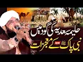 Download Lagu Hazrat Haleema Sadia (R.A) Ka Waqia Imran Aasi - New Bayan 2025 By Hafiz Imran Aasi