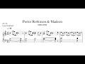 "Shelter" - Porter Robinson & Madeon (Orchestral Arrangement)
