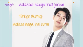 Download Lee Jungshin - Confession (Hangul Romanization \u0026 Türkçe Karaoke) MP3