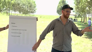 Implantação, manejo e desempenho florestal dos eucaliptos na IPF da fazenda Novapec