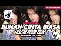 Lagu DJ BUKAN CINTA BIASA DIRIKU HANYA INSAN BIASA MILIKI NALURI YANG SAMA FULL SONG VIRAL 2026
