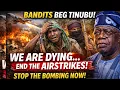 Lagu BREAKING: Bandits Plead for Mercy — “Tinubu, We Are Dying… End the Airstrikes!” Stop The Bombing