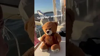 Teddy bear overboard!! #teddybear #family #overboard #sailing
