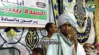 مولد السيده زينب بصعيد مصر الشيخ محمد البرسي الكلالسه قنا 2019 