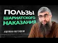 Download Lagu Пользы шариатского наказания | Абдуллах Костекский