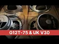 Celestion G12T-75 \u0026 UK V30s In X Pattern