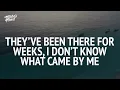 Alan Walker - Tired (Kygo Remix) [LYRICS]