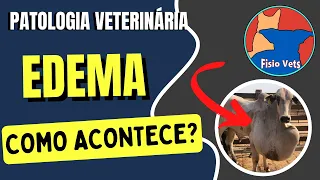 Edema: mecanismos fisiopatológicos - Patologia geral - Medicina veterinária