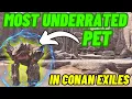 Most underrated pet in Conan Exiles You need to try this