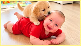 Funny Baby Video You Can't Miss! 🤣 5-Minute Fails
