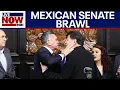 Download Lagu Mexican politicians brawl, Trump administration continues cartel crackdown | LiveNOW from FOX