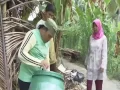 Lagu Hand washing, Indonesia - IYS International Year of Sanitation - Eumpang Breuh Film